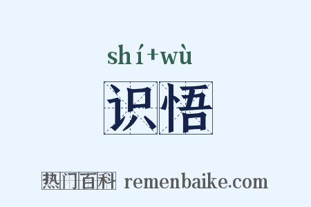 识悟是什么意思的图片